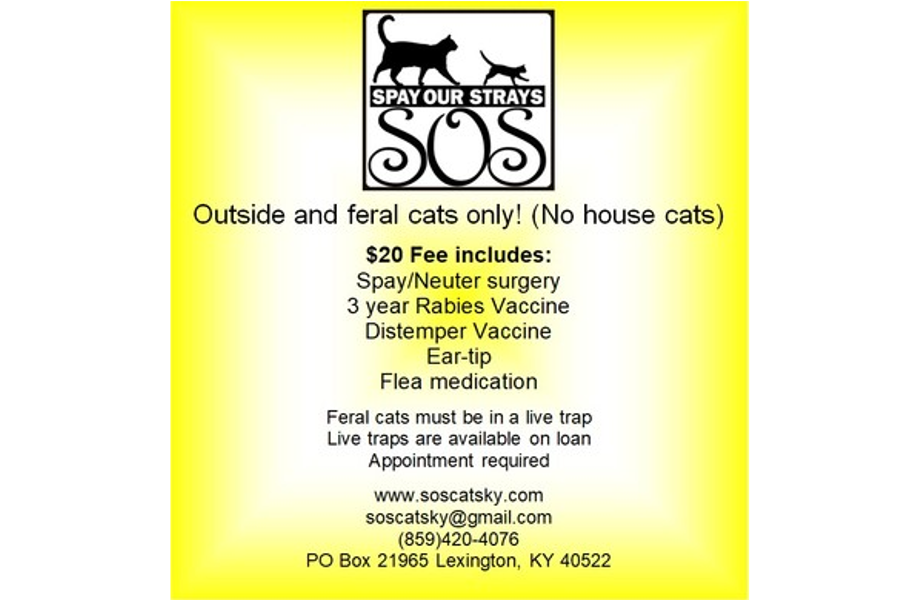 SOS Spay Our Strays