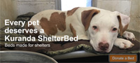 Kuranda Dog Beds donation program