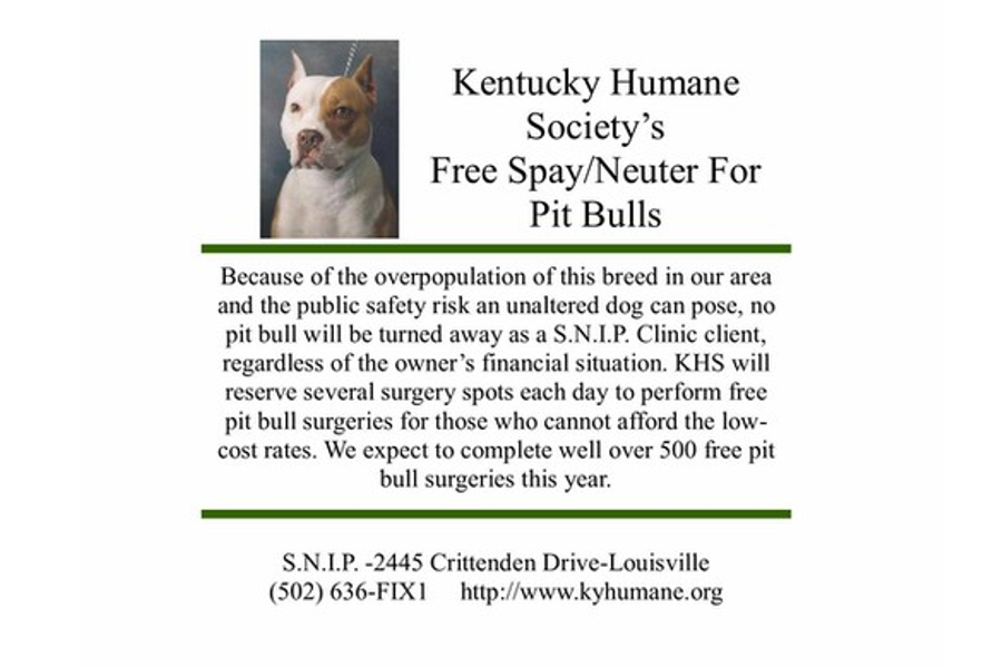Spay & Neuter | Anderson Humane Society, Inc ...